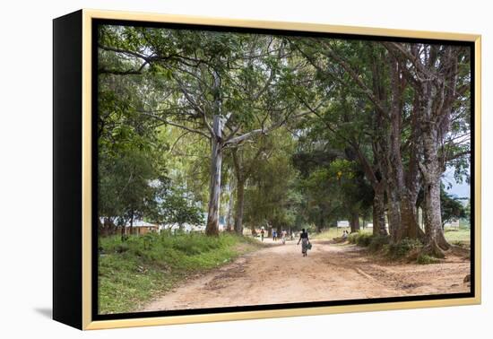 Tree Alley in Livingstonia, Malawi, Africa-Michael Runkel-Framed Premier Image Canvas