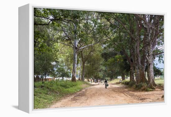 Tree Alley in Livingstonia, Malawi, Africa-Michael Runkel-Framed Premier Image Canvas