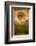 Tree Alone-Craig Satterlee-Framed Photographic Print