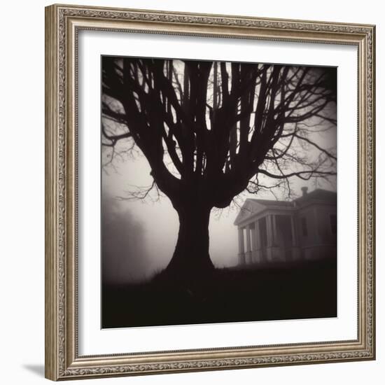 Tree and Bandhouse at Discovery Park-Kevin Cruff-Framed Photographic Print