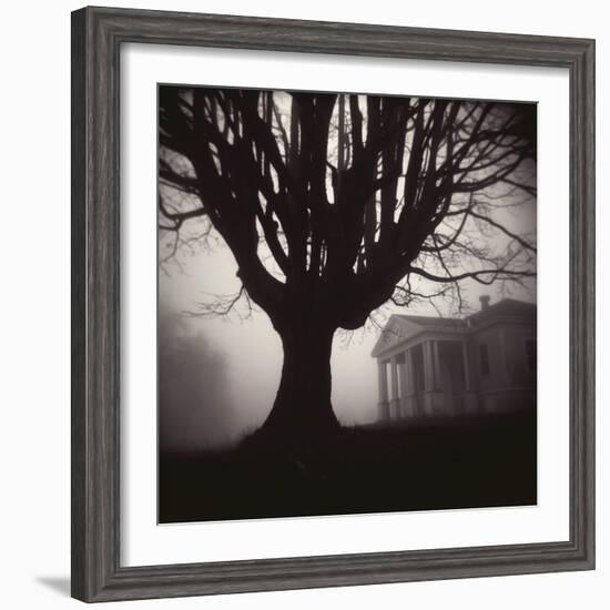 Tree and Bandhouse at Discovery Park-Kevin Cruff-Framed Photographic Print