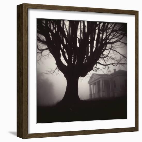 Tree and Bandhouse at Discovery Park-Kevin Cruff-Framed Photographic Print