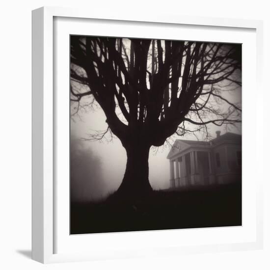 Tree and Bandhouse at Discovery Park-Kevin Cruff-Framed Photographic Print