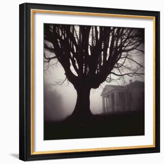 Tree and Bandhouse at Discovery Park-Kevin Cruff-Framed Photographic Print