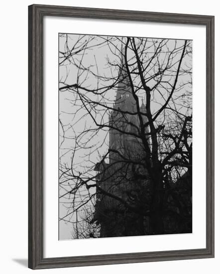 Tree and Church of Gothic Construction, Bern, Swiss-Tomaru Eiichi-Framed Photographic Print