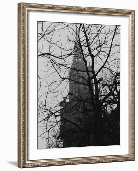 Tree and Church of Gothic Construction, Bern, Swiss-Tomaru Eiichi-Framed Photographic Print