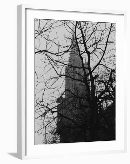 Tree and Church of Gothic Construction, Bern, Swiss-Tomaru Eiichi-Framed Photographic Print