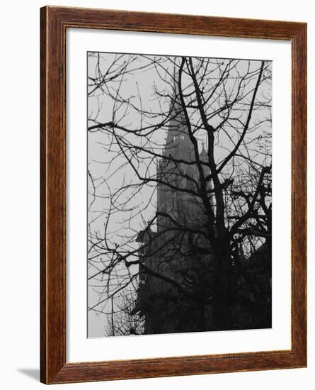 Tree and Church of Gothic Construction, Bern, Swiss-Tomaru Eiichi-Framed Photographic Print