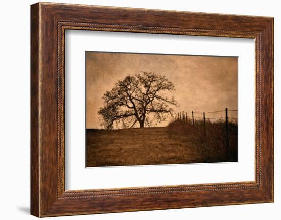 Tree and Fence II-David Winston-Framed Giclee Print