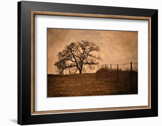 Tree and Fence II-David Winston-Framed Giclee Print