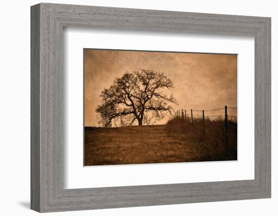 Tree and Fence II-David Winston-Framed Giclee Print