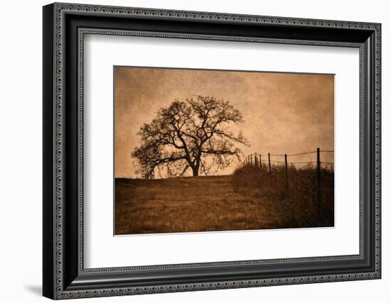 Tree and Fence II-David Winston-Framed Giclee Print