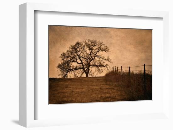 Tree and Fence II-David Winston-Framed Giclee Print