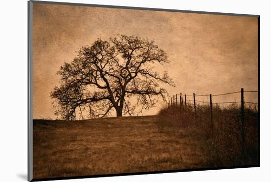Tree and Fence II-David Winston-Mounted Giclee Print