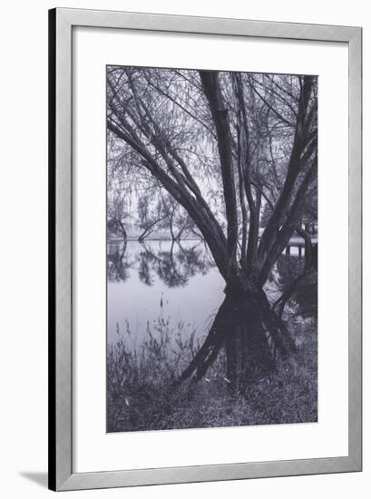 Tree and Pond Reflections at Marin County Pond California-Vincent James-Framed Photographic Print