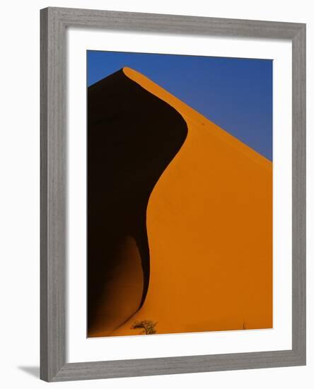 Tree and Sand Dune, Namib Desert-Darrell Gulin-Framed Photographic Print