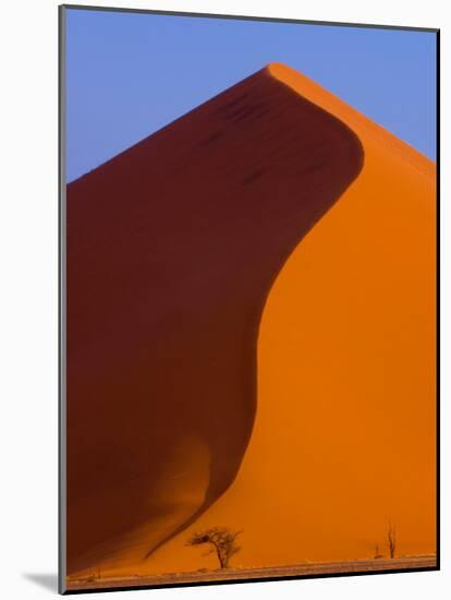 Tree and Soussevlei Sand Dune, Namibia-Joe Restuccia III-Mounted Photographic Print