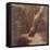 Tree and Stars-Odilon Redon-Framed Premier Image Canvas