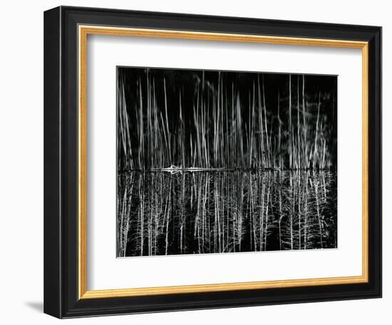 Tree and Water Reflection, High Sierra, c.1960-Brett Weston-Framed Photographic Print