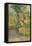 'Tree and Woodpath', c19th century-Giovanni Fattori-Framed Premier Image Canvas