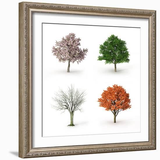 Tree at Four Seasons-Mike_Kiev-Framed Photographic Print