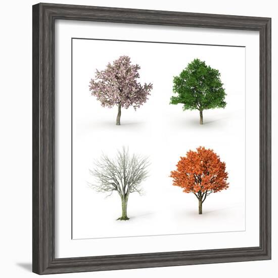 Tree at Four Seasons-Mike_Kiev-Framed Photographic Print