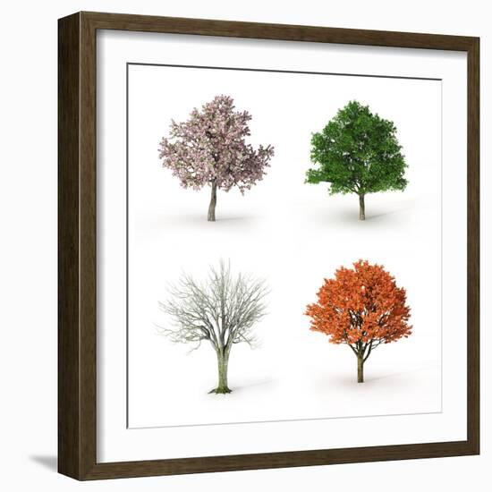 Tree at Four Seasons-Mike_Kiev-Framed Photographic Print