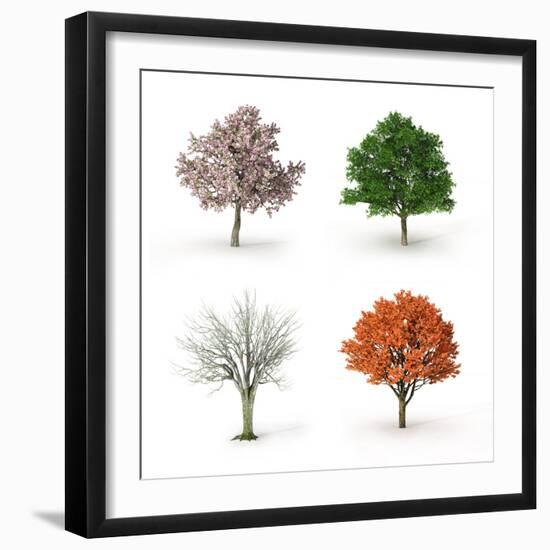 Tree at Four Seasons-Mike_Kiev-Framed Photographic Print