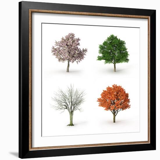 Tree at Four Seasons-Mike_Kiev-Framed Photographic Print