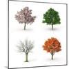 Tree at Four Seasons-Mike_Kiev-Mounted Photographic Print