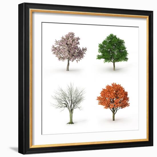 Tree at Four Seasons-Mike_Kiev-Framed Photographic Print