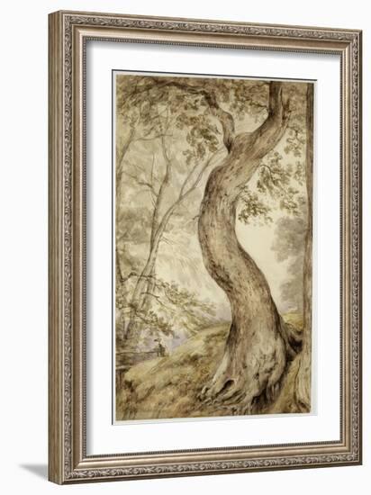 Tree at Helmingham, C.1800-John Constable-Framed Giclee Print