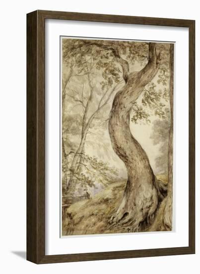 Tree at Helmingham, C.1800-John Constable-Framed Giclee Print