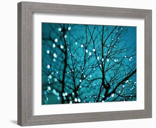 Tree at Night with Lights-Myan Soffia-Framed Photographic Print