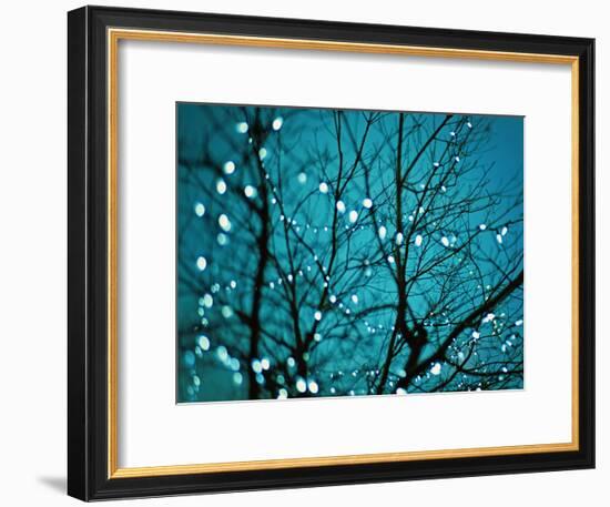 Tree at Night with Lights-Myan Soffia-Framed Photographic Print