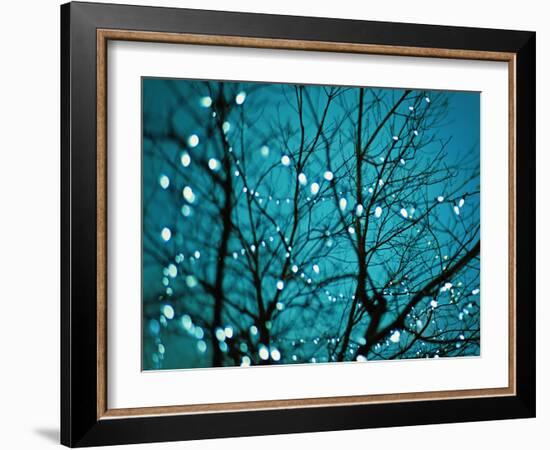 Tree at Night with Lights-Myan Soffia-Framed Photographic Print