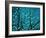 Tree at Night with Lights-Myan Soffia-Framed Photographic Print