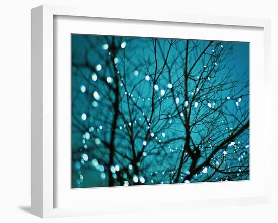 Tree at Night with Lights-Myan Soffia-Framed Photographic Print