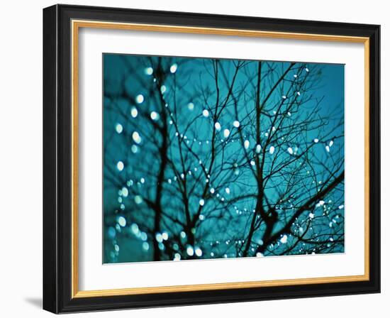 Tree at Night with Lights-Myan Soffia-Framed Photographic Print