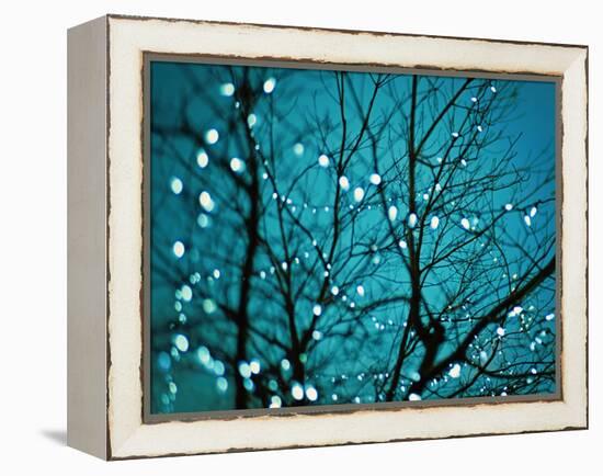 Tree at Night with Lights-Myan Soffia-Framed Premier Image Canvas