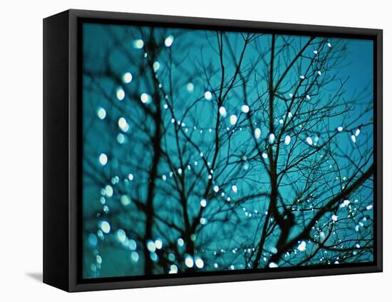 Tree at Night with Lights-Myan Soffia-Framed Premier Image Canvas