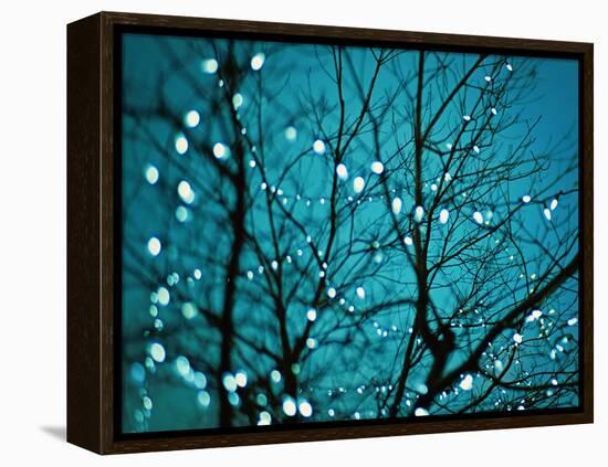 Tree at Night with Lights-Myan Soffia-Framed Premier Image Canvas