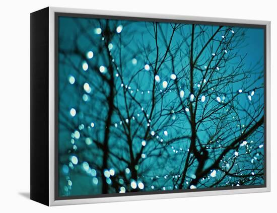 Tree at Night with Lights-Myan Soffia-Framed Premier Image Canvas