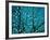 Tree at Night with Lights-Myan Soffia-Framed Photographic Print