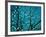 Tree at Night with Lights-Myan Soffia-Framed Photographic Print