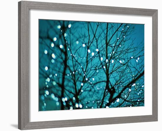 Tree at Night with Lights-Myan Soffia-Framed Photographic Print