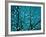 Tree at Night with Lights-Myan Soffia-Framed Photographic Print