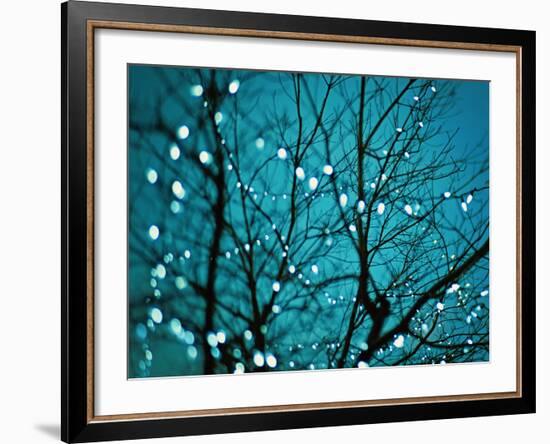 Tree at Night with Lights-Myan Soffia-Framed Photographic Print