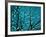 Tree at Night with Lights-Myan Soffia-Framed Photographic Print