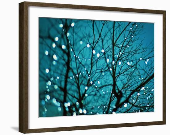 Tree at Night with Lights-Myan Soffia-Framed Photographic Print